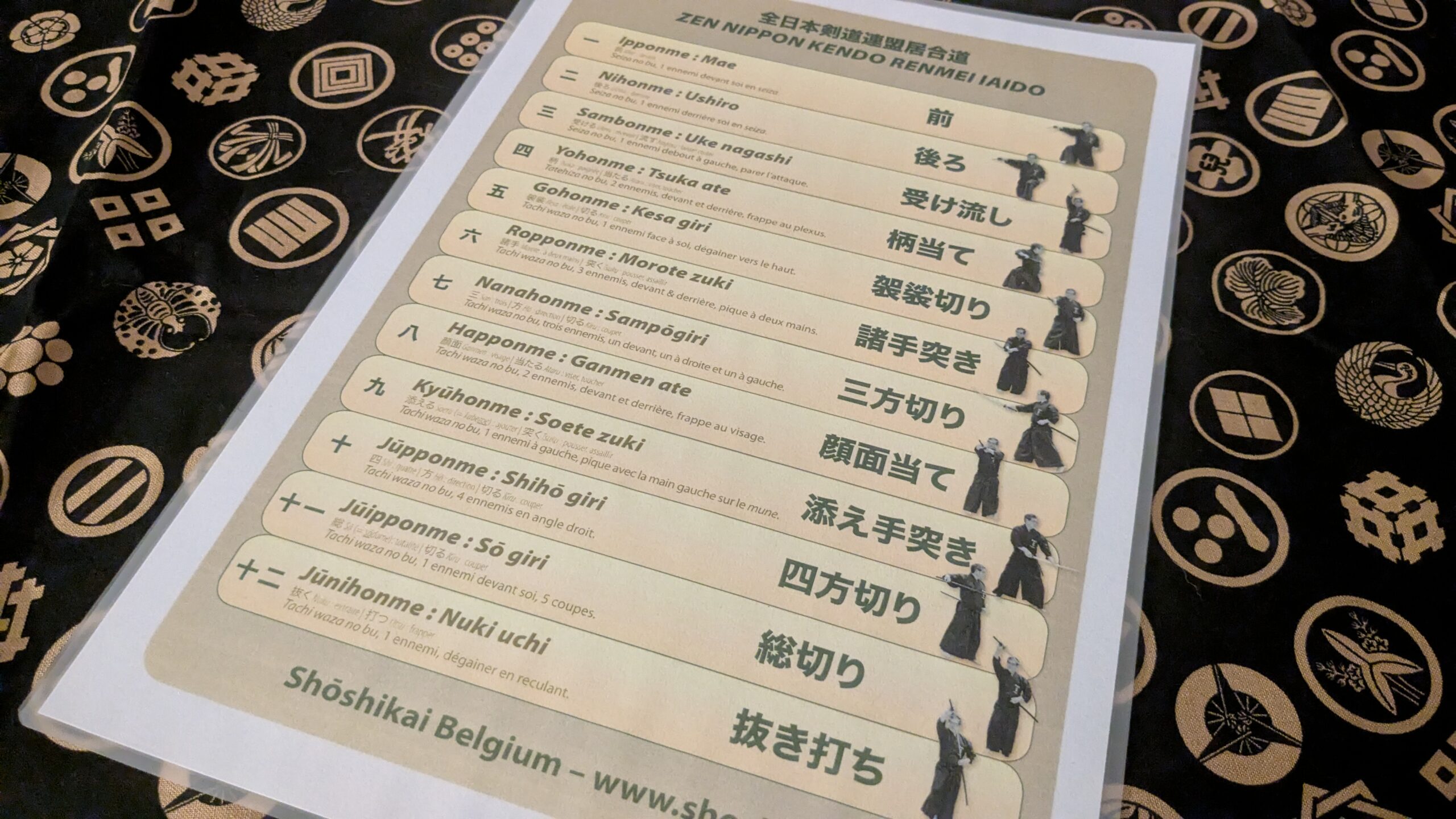 Les 12 katas du Zen Ken Ren Iaido